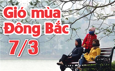 Tin Gió mùa Đông Bắc và sóng lớn trên biển