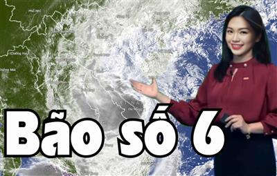 Tin mới nhất về cơn bão số 6