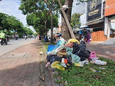 TP.Hồ Chí Minh: Rác bủa vây từ đường phố đến kênh rạch
