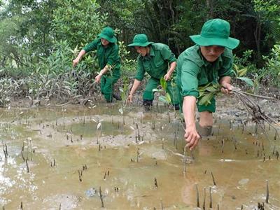 TPHCM hướng tới phát triển carbon thấp