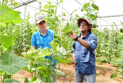 Trà Vinh: Chiến lược phát triển nông nghiệp thông minh và thích ứng với biến đổi khí hậu