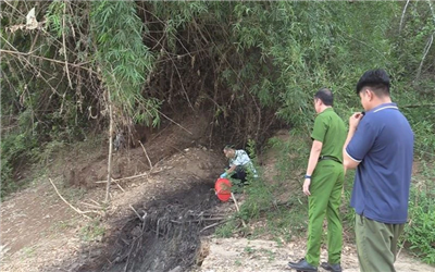 Trang trại nuôi 15.500 con lợn xả trực tiếp nước thải ra sông