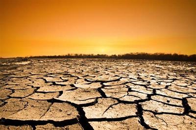 Triển khai các giải pháp ứng phó hiệu quả biến đổi khí hậu