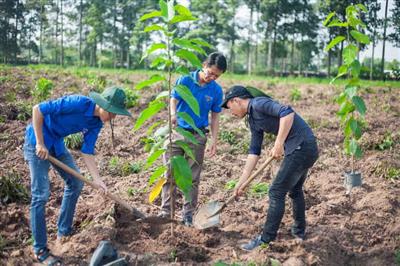 Triển khai các quy định pháp luật về ứng phó biến đổi khí hậu trong Luật Bảo vệ Môi trường