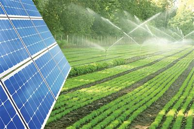 Triển khai hiệu quả các chương trình khoa học công nghệ biến đổi khí hậu, áp dụng trong quản lý, thực tiễn sản xuất