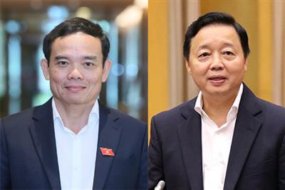 Trình Quốc hội phê chuẩn các ông Trần Hồng Hà, Trần Lưu Quang làm Phó Thủ tướng