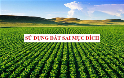 Trong 12 tháng sử dụng đất nông nghiệp không đúng mục đích có thể bị thu hồi