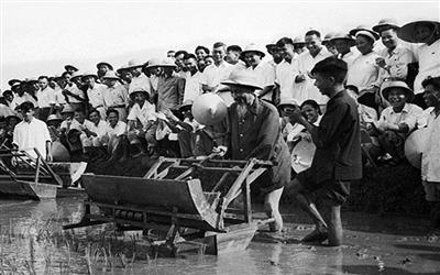 Tư tưởng Hồ Chí Minh về phát triển nông nghiệp và sự vận dụng của Đảng đối với vấn đề bảo đảm an ninh lương thực ở Việt Nam hiện nay