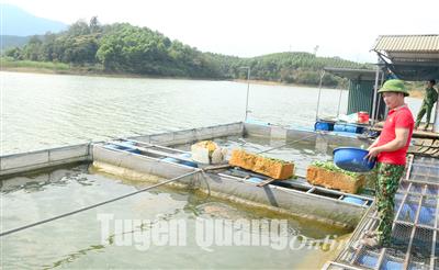Tuyên Quang công bố danh sách 548 ao hồ không được san lấp
