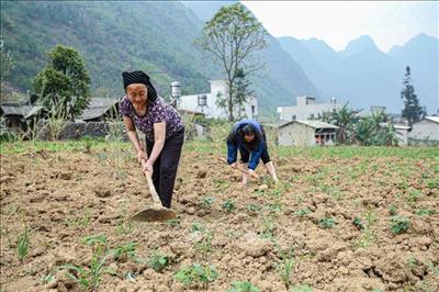 Ứng phó với nguy cơ nắng nóng, hạn hán, thiếu nước, xâm nhập mặn
