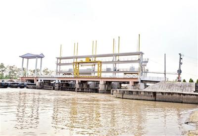 Ứng phó với xâm nhập mặn trong mùa khô