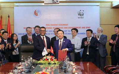 Vai trò của các tổ chức quốc tế trong tiến trình xây dựng quy định về trách nhiệm mở rộng của nhà sản xuất ở Việt Nam