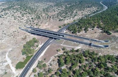 Vì một Israel xanh
