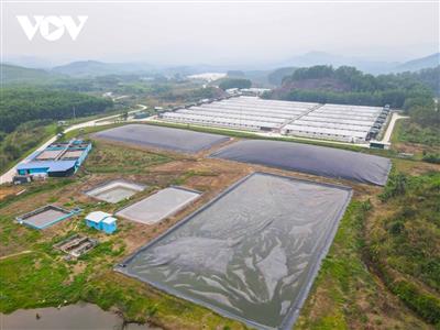 Vi phạm về môi trường, Công ty chăn nuôi Sơn Động bị phạt gần 700 triệu