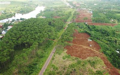 Vì sao Công ty TNHH Nông nghiệp Đông Giang bị phạt 80 triệu đồng?