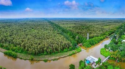Việt Nam có 11,85 triệu ha đất ngập nước
