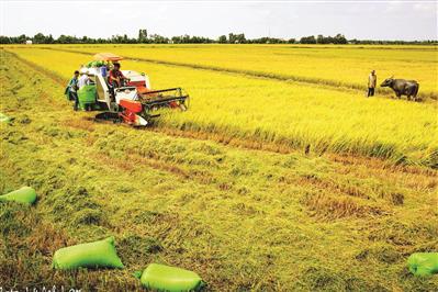 Vĩnh Long phấn đấu là tỉnh phát triển toàn diện, văn minh, hiện đại