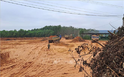 Vụ đào lấy đất trái phép ở Quảng Trị: Chủ sở hữu thửa đất thừa nhận hành vi hủy hoại đất
