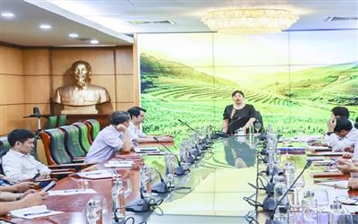 Vụ Tổ chức cán bộ báo cáo về kế hoạch tuyển dụng năm 2023 của các đơn vị trực thuộc Bộ Tài nguyên và Môi trường