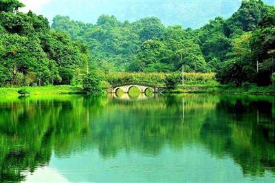 Vườn quốc gia Cúc Phương được vinh danh là 'Công viên quốc gia hàng đầu châu Á'