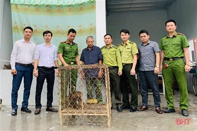 Vườn Quốc gia Vũ Quang tái thả gần 300 cá thể động vật hoang dã về môi trường tự nhiên