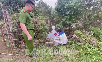 Xả nước thải gây ô nhiễm, Công ty Giống gia cầm Trường An bị phạt