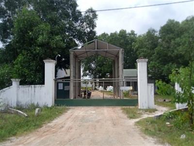 Xả thải gây ô nhiễm, trang trại lợn bị phạt gần 300 triệu đồng