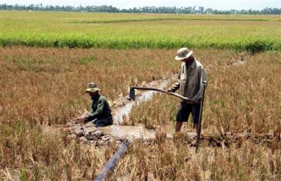 Xâm nhập mặn cao nhất ở cửa sông Cửu Long sẽ tập trung từ ngày 17-22/3