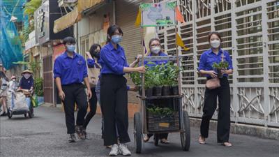 Xây dựng cảnh quan môi trường xanh, sạch, đẹp