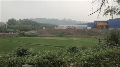 Xử lý dứt điểm sai phạm tại Dự án nhà máy chế biến gỗ ở huyện Yên Thế (Bắc Giang)