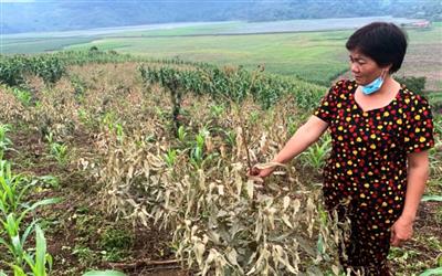 Xử phạt Nhà máy DAP Lào Cai 350 triệu đồng vi phạm môi trường