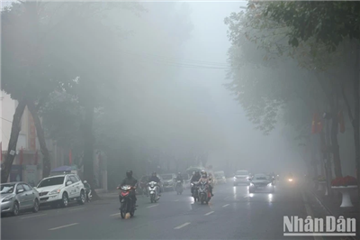 Ðánh giá nỗ lực bảo vệ môi trường của địa phương