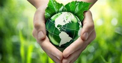 “Màn ảnh xanh” và thông điệp bảo vệ môi trường