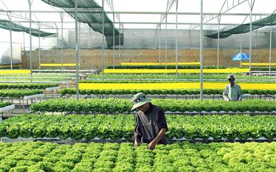 “Tặng” quy hoạch và hệ lụy khôn lường