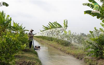 “Thuận thiên” để phát triển xanh bền vững