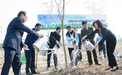 Khởi động Dự án trồng cây hướng đến Net Zero năm 2023