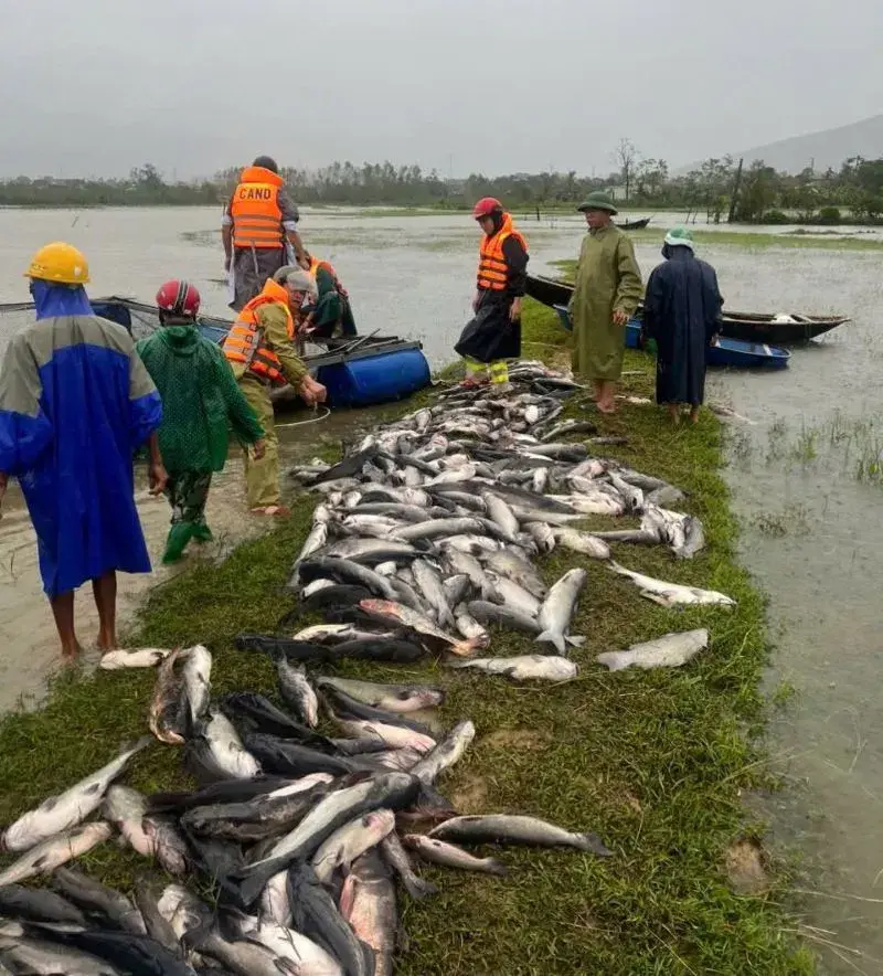 Thiệt hại nặng nề sau bão số 10 Hà Tĩnh lên phương án khắc phục