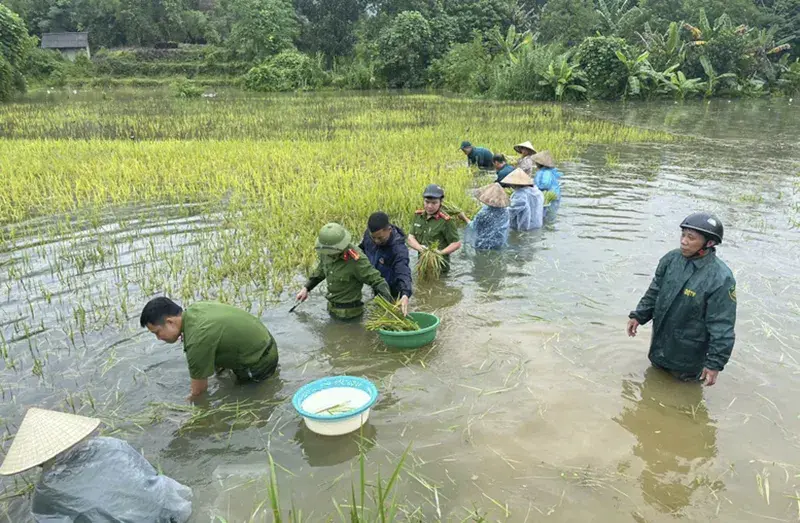 Thủ tướng: "Phải thần tốc hơn nữa" để khắc phục nhanh nhất hậu quả bão số 10