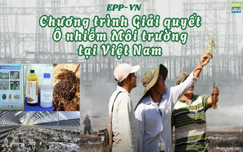 Chương trình EPP-VN: Hướng tới nền nông nghiệp bền vững ở Việt Nam