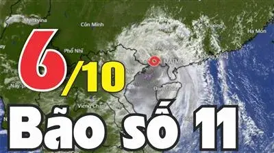 Tin bão trên đất liền: Cơn bão số 11