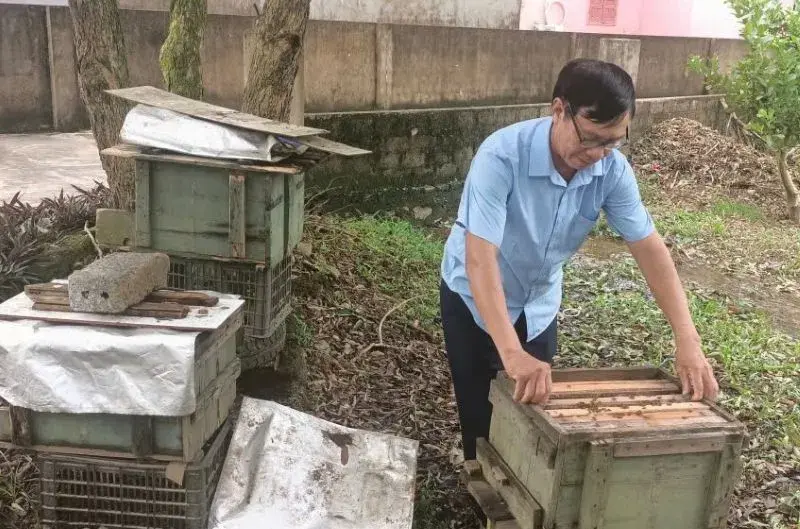Từ tổ ong đến trang trại tổng hợp - Hành trình làm kinh tế giỏi của đảng viên Nguyễn Đức Hà