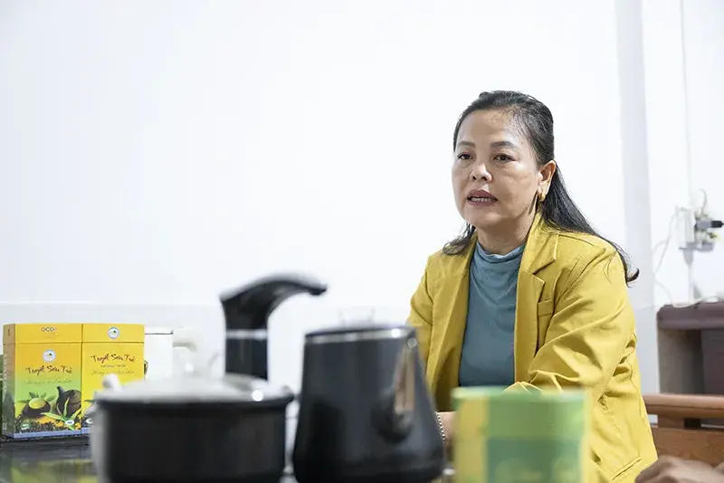 “Giữ hồn trà Shan tuyết Suối Giàng để bước ra thế giới”