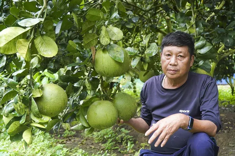 Người lính năm xưa gieo hạt “xanh” trên đất Điền Lư