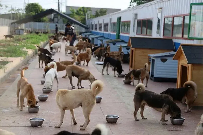 Hội thảo tuyên truyền, nâng cao nhận thức về giảm phát thải khí mê-tan
