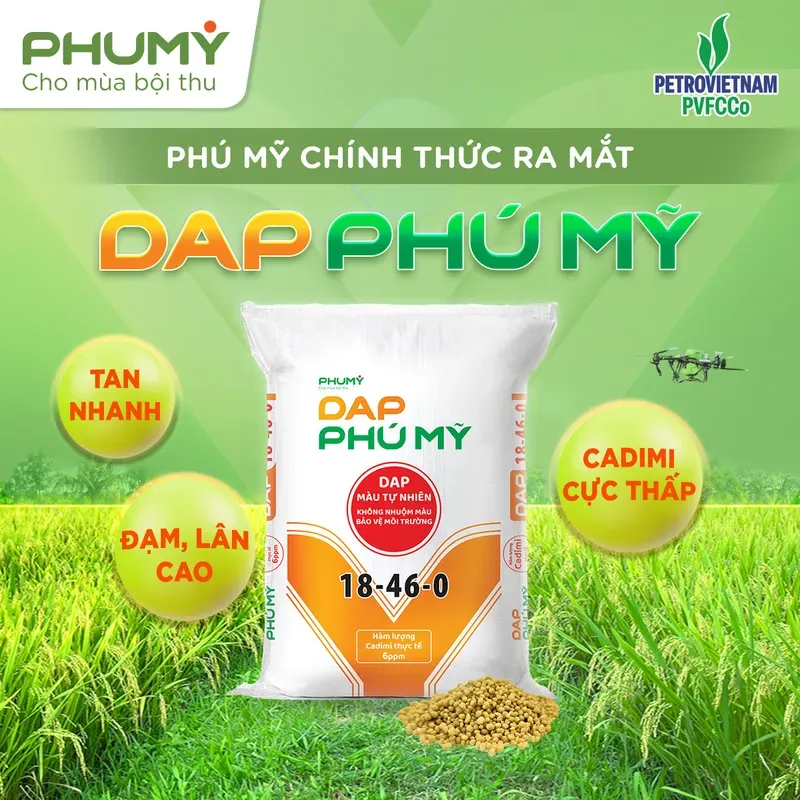 DAP PHÚ MỸ (Ảnh PVFCCo – Phú Mỹ)