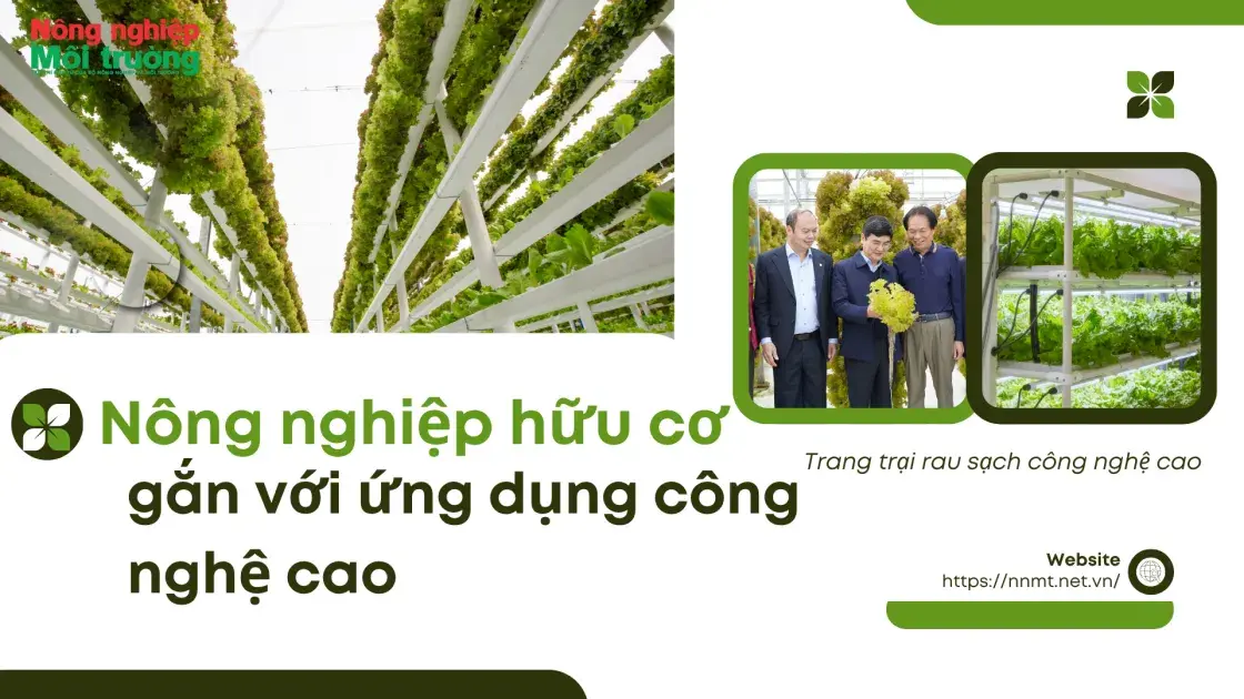 Nông nghiệp hữu cơ gắn với ứng dụng công nghệ cao
