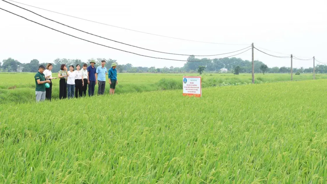 Tổ chức lại Trung tâm Khuyến nông Hà Nội: Tinh gọn để nâng cao chất lượng