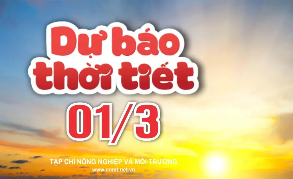 Thời tiết ngày 01/3: Miền Bắc tăng nhiệt, có nơi nắng nóng