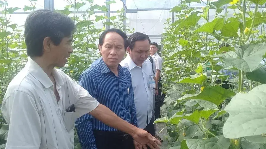 Xây dựng mô hình tiêu biểu về nông thôn mới ở Hậu Giang