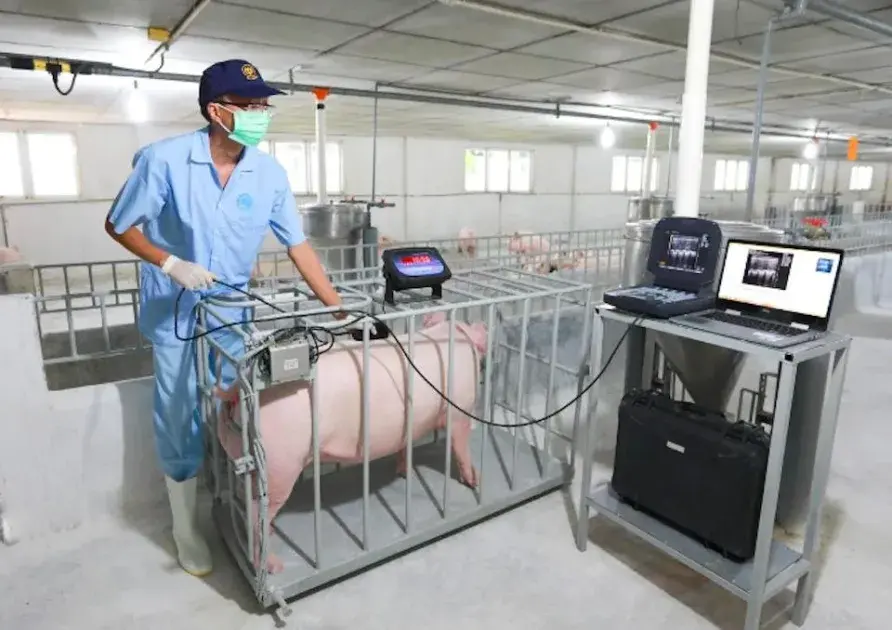 Định hình tương lai ngành chăn nuôi heo bền vững từ những mô hình “xanh” tại IPVS 2026